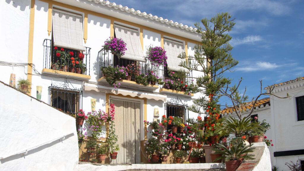 Plaza with white buildings and flower pots outside.