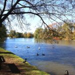 10 Amazing Things to do in Stratford, Ontario