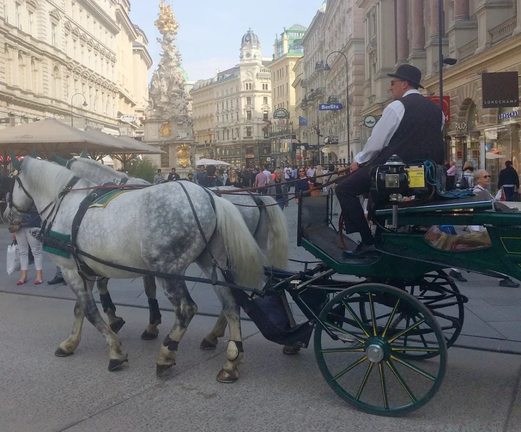 Horse and carriage in streets of Vienna.