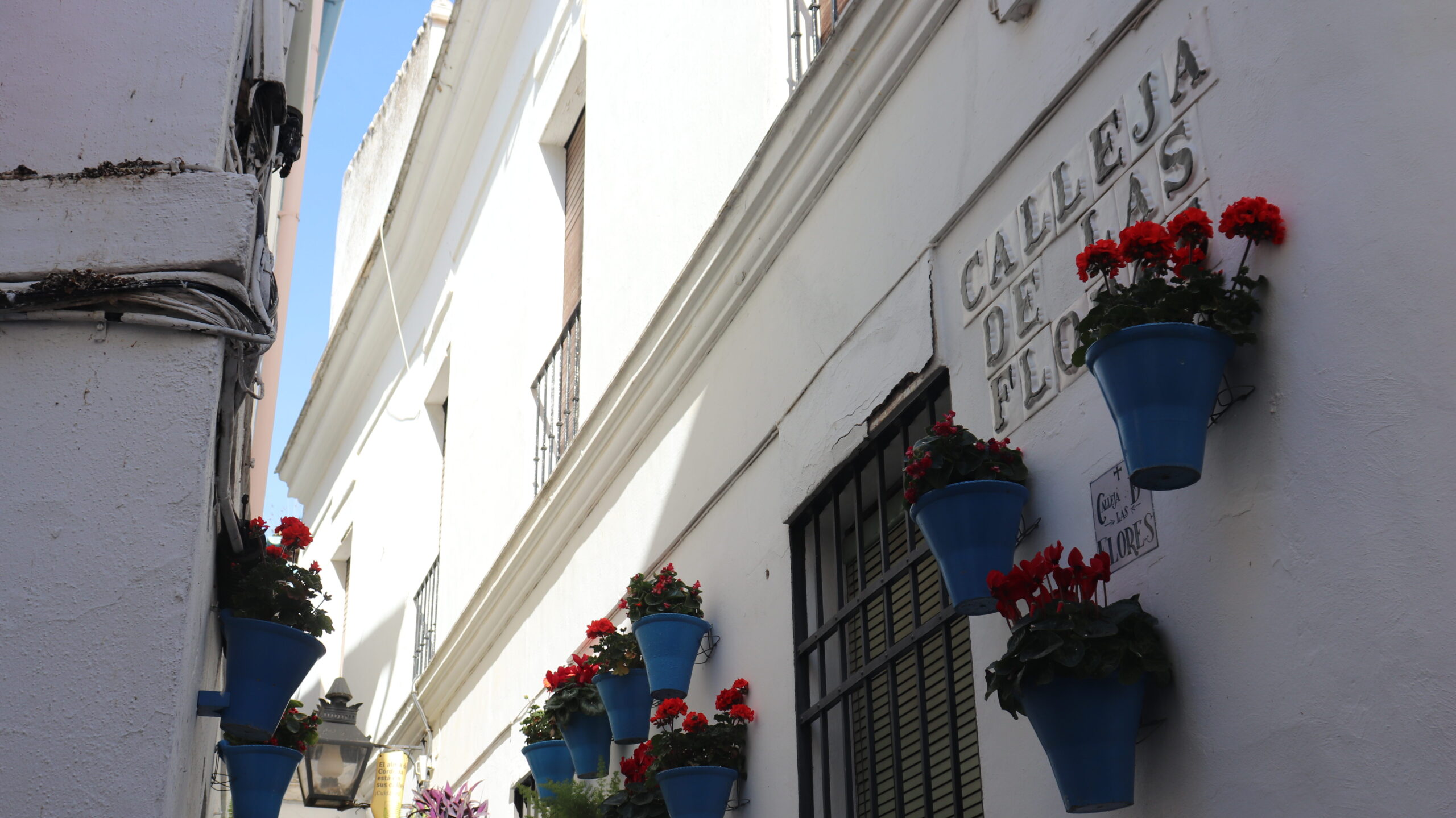 White painted street with blue flower pots.