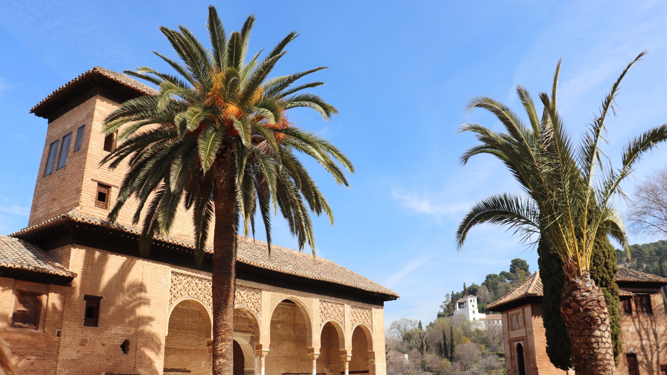 Palm trees in courtyard area.