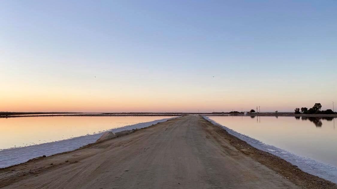 Road through salt flats at sunset.