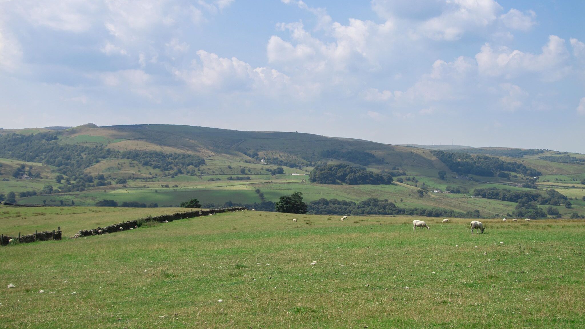 Green fields in the English countryside. 