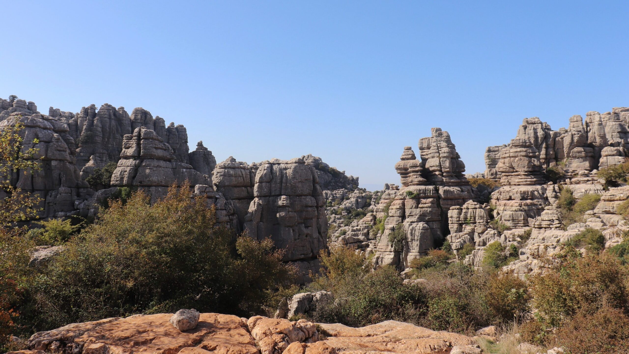 View of limestone rock formations in El Torcal.