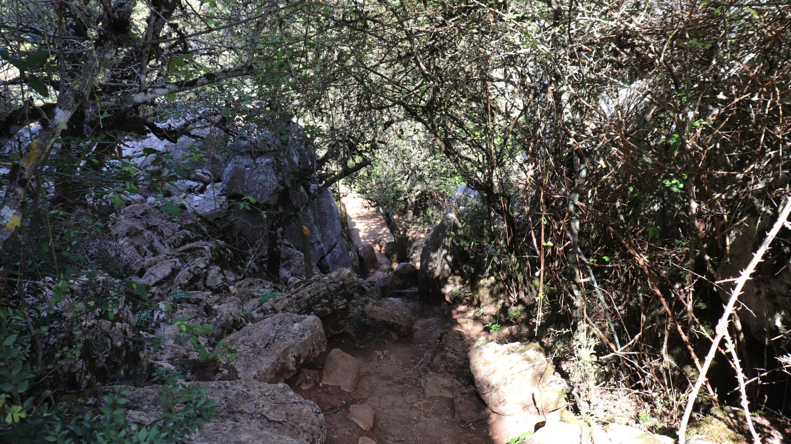 Hiking route through the woods and rocks.