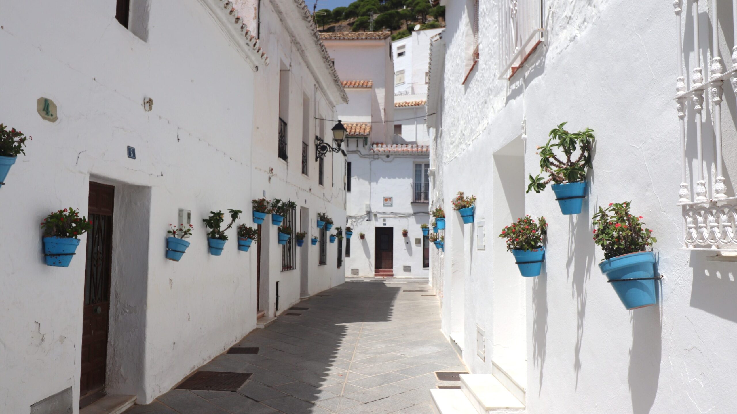 Whitewashed street in Mijas lined with blue flower pots.