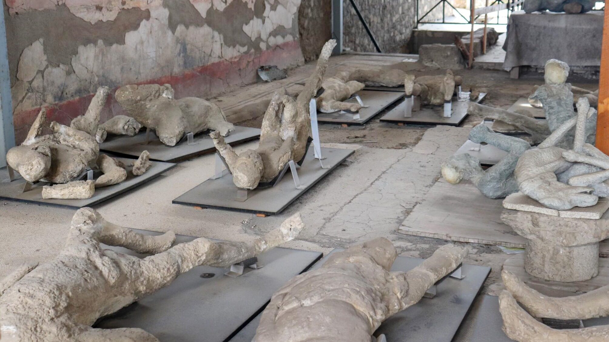 Various casts of the people of Pompeii. 