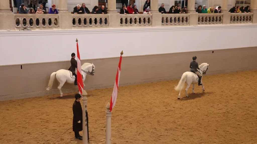 Two horses inside the riding school in Vienna.