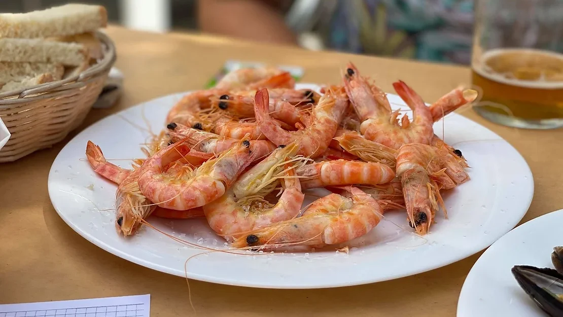 Plate filled with fresh shell fish.