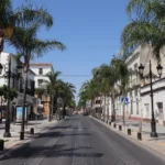 Palm tree lined street in El Puerto.