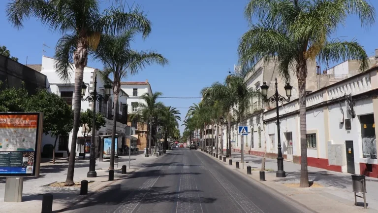 Palm tree lined street in El Puerto.