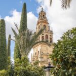 Bell tower in Cordoba shot through trees.