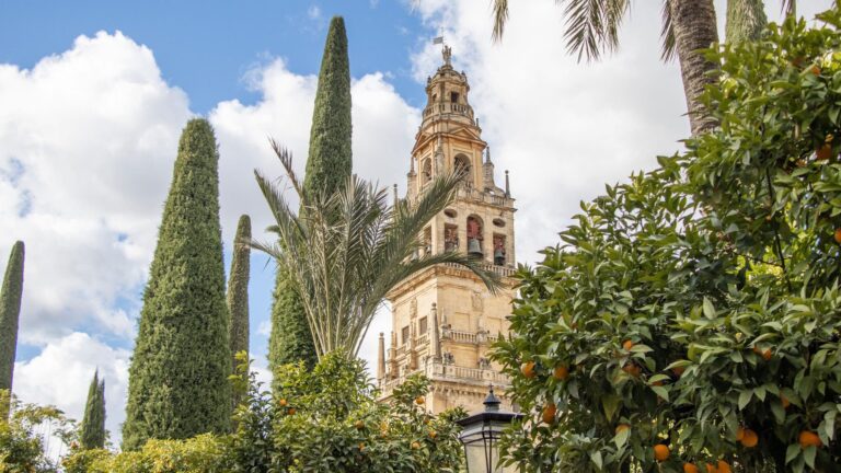 Bell tower in Cordoba shot through trees.