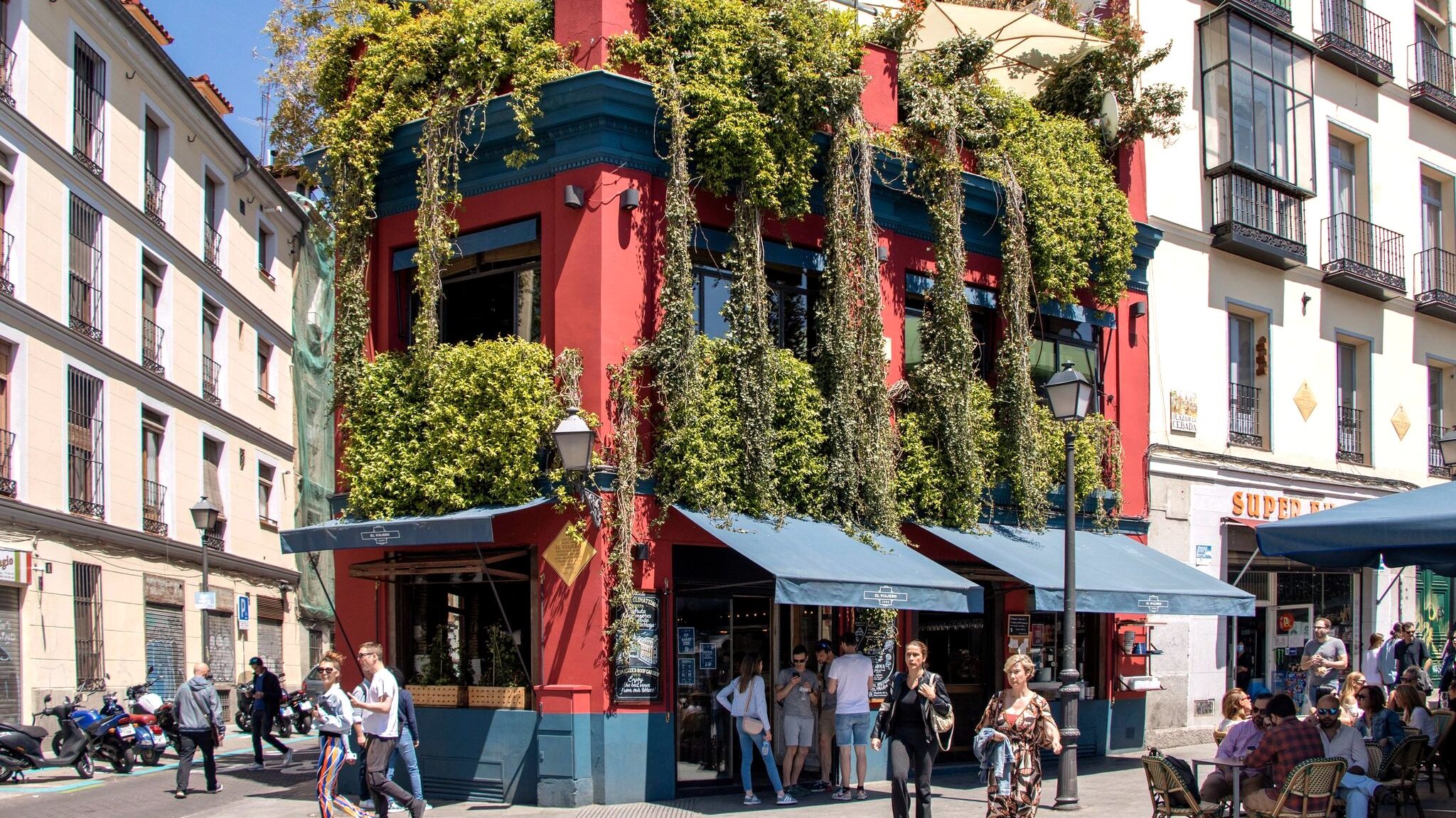 Red building on corner with plants in windows.