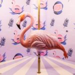 Pink flamingo inside sweet museum Madrid.