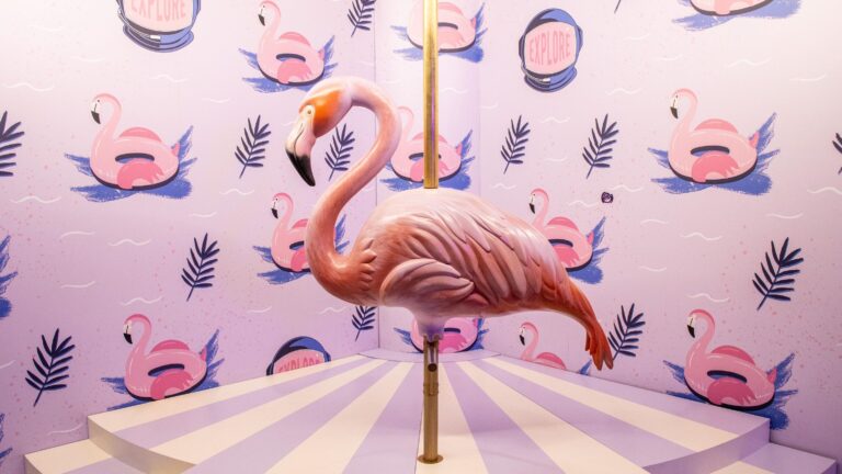 Pink flamingo inside sweet museum Madrid.