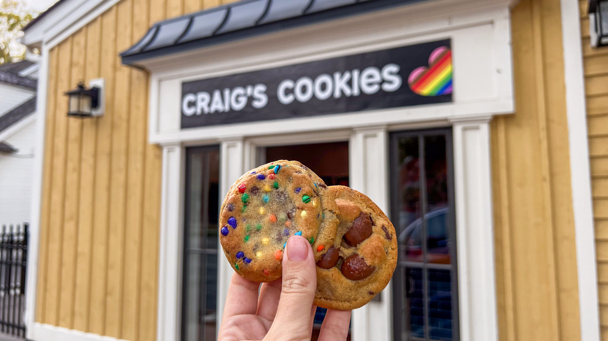 Two soft cookies with different fillings. 