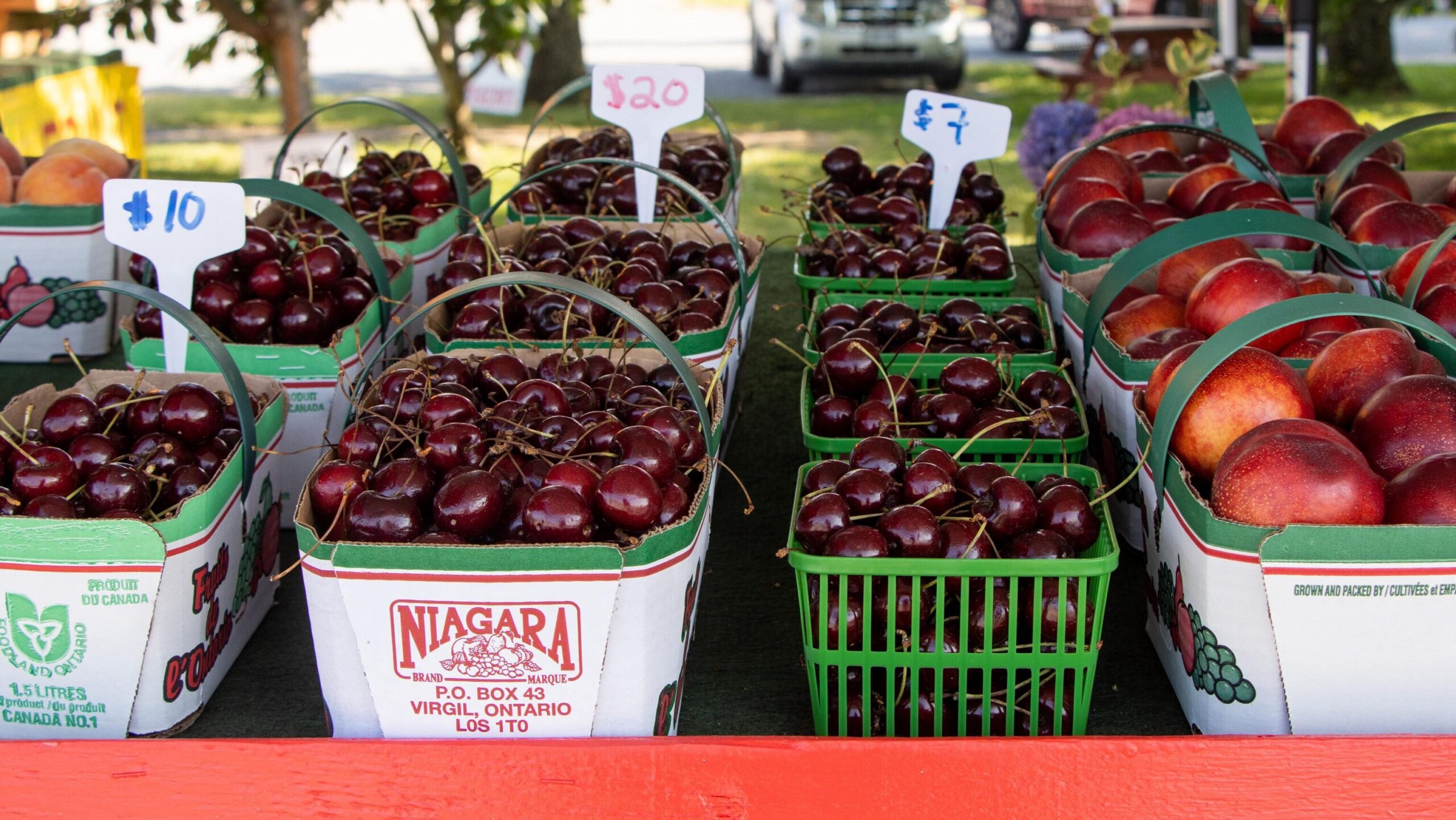 Baskets of cherries and peaches in Niagara.