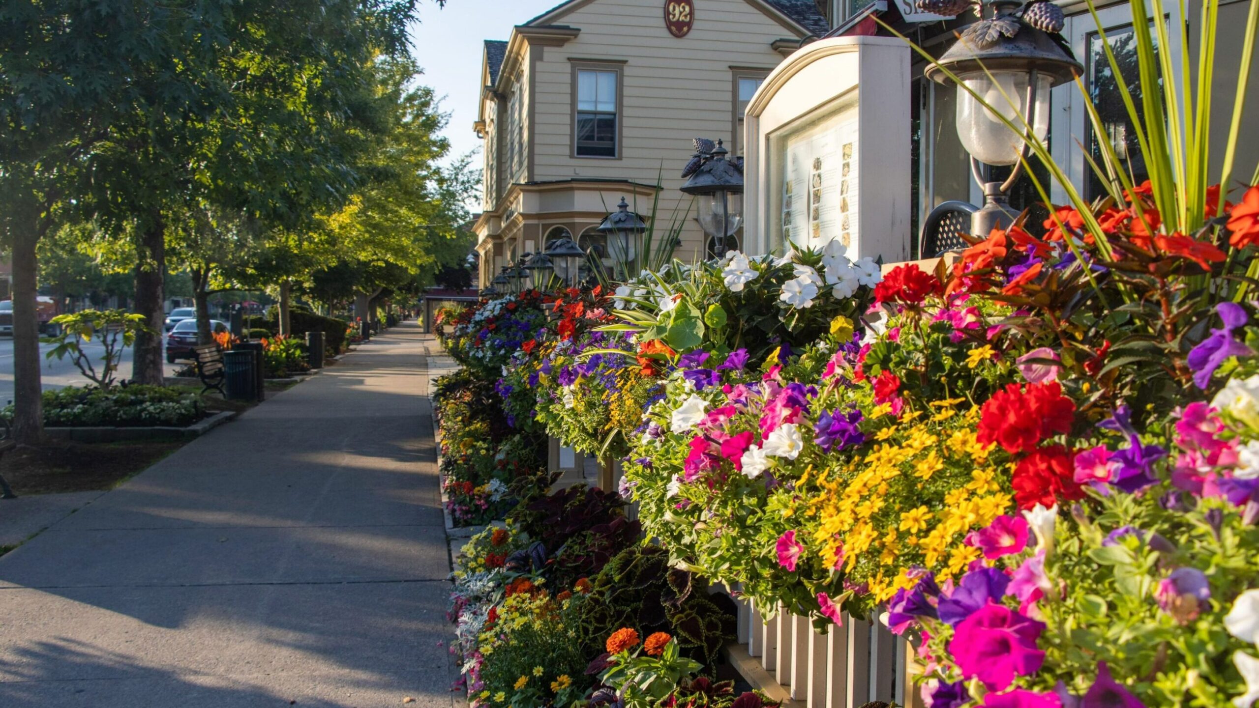 Colourful flowers in front of cafe in NOTL.