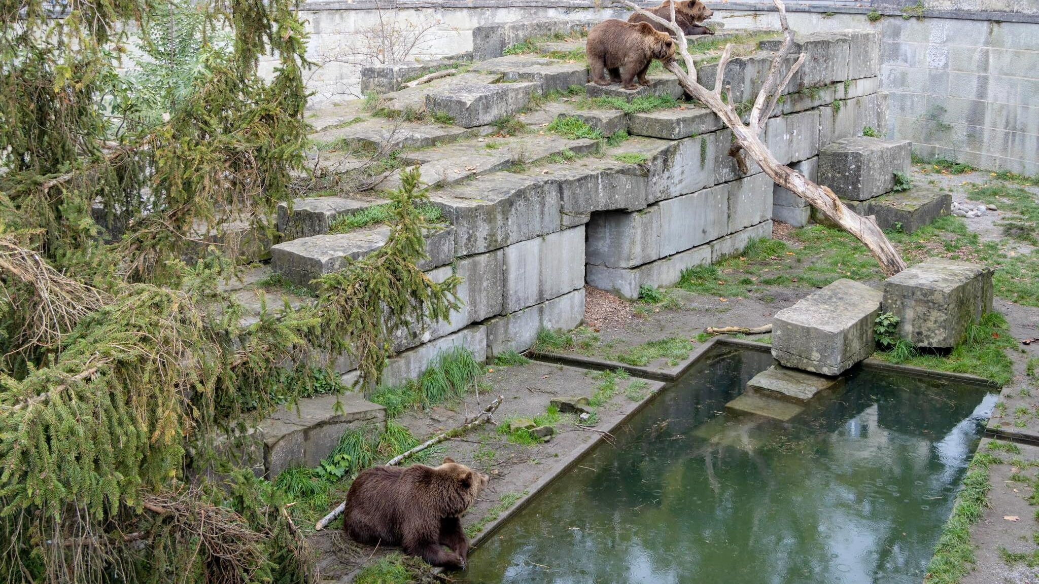 Concrete bear park in Bern's old town.