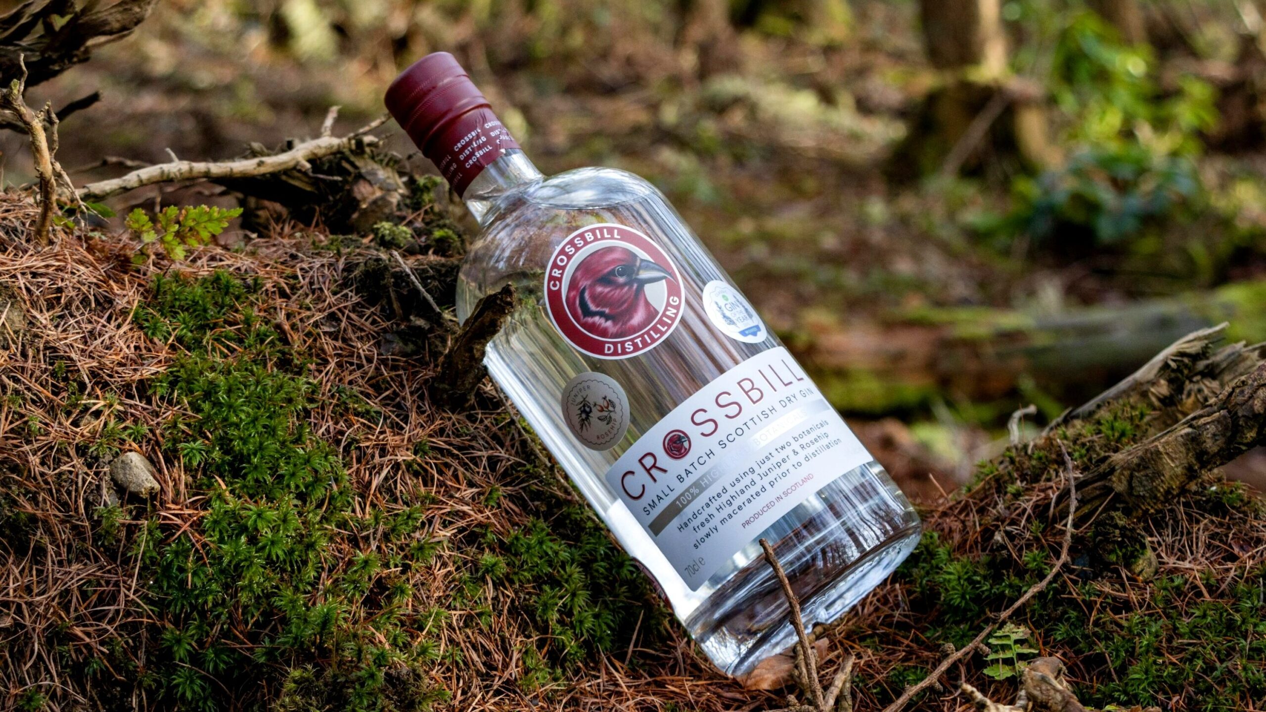 Bottle of Scottish gin in forest.