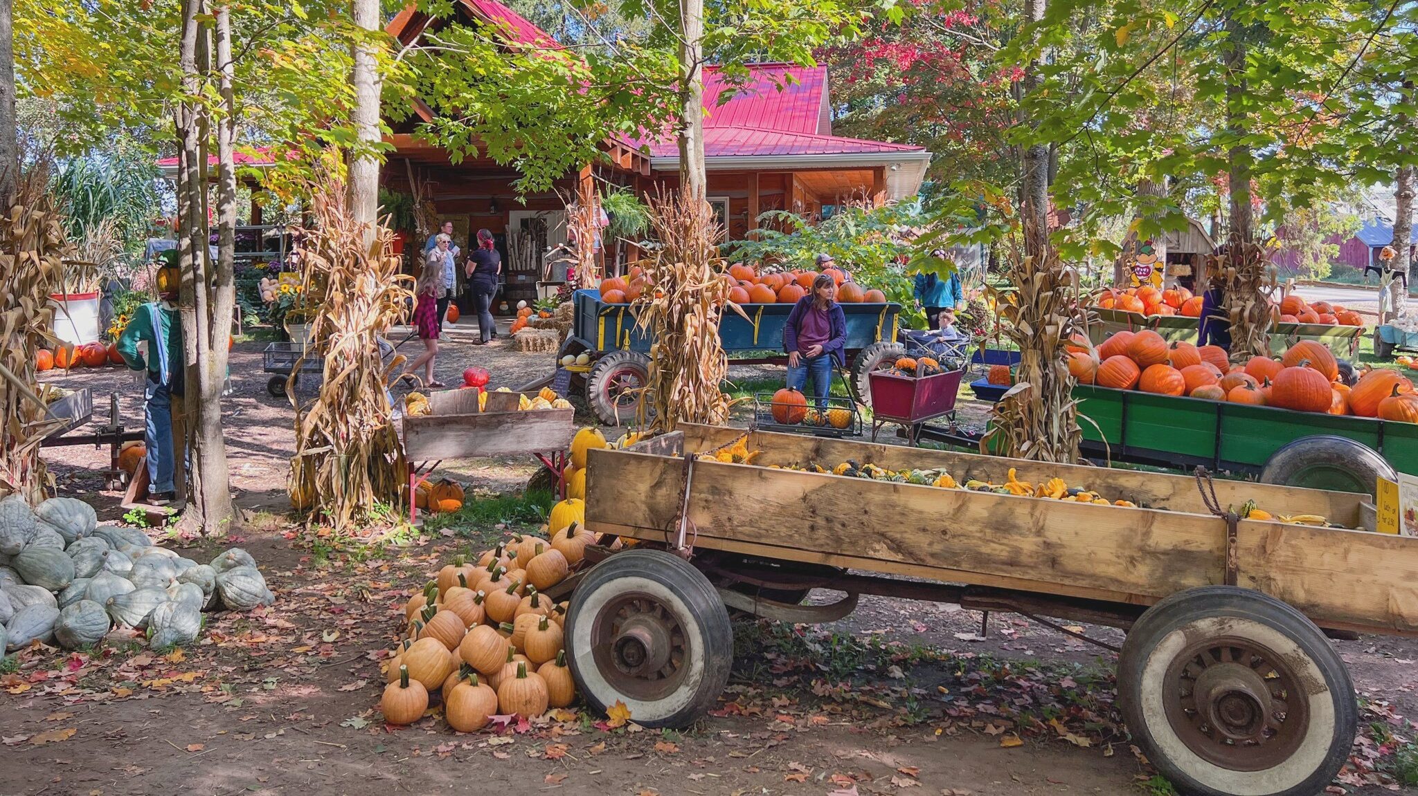 Fall harvest farm in Ontario.