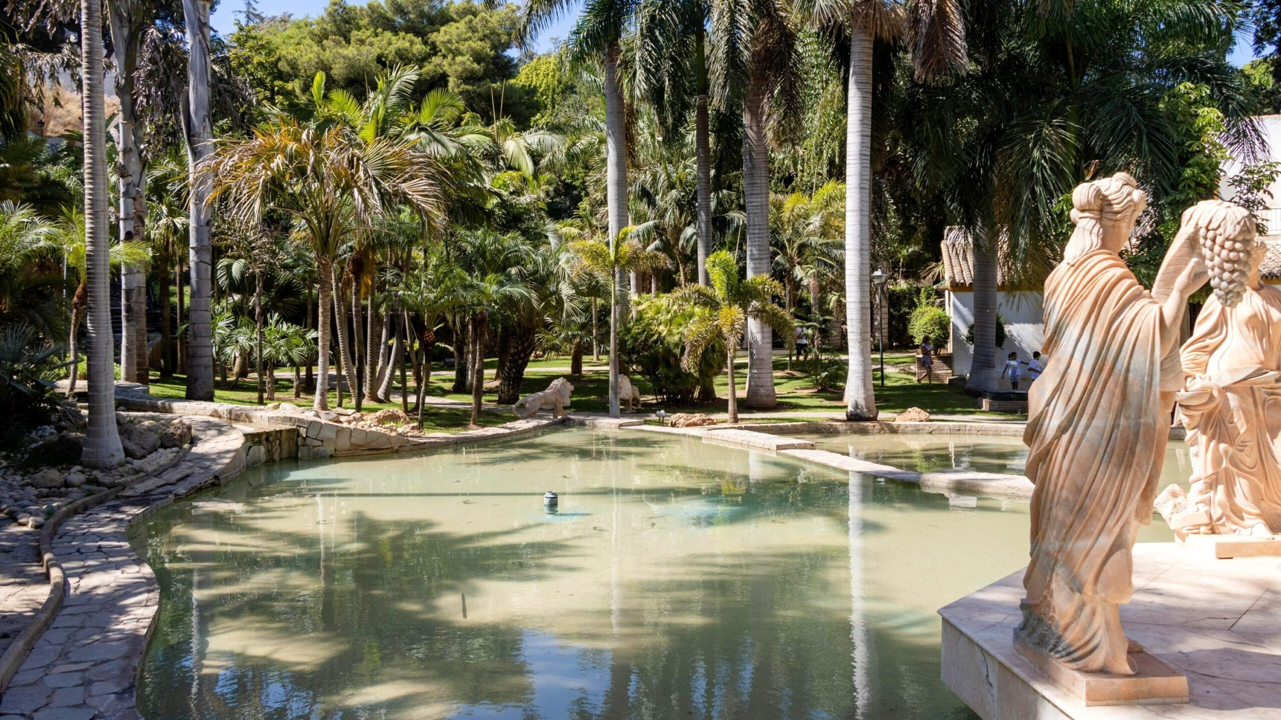 Small pond in botanic gardens.