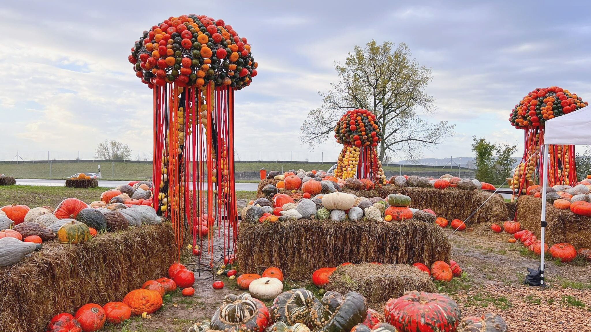 Display of aliens made out of pumpkins near Zurich.