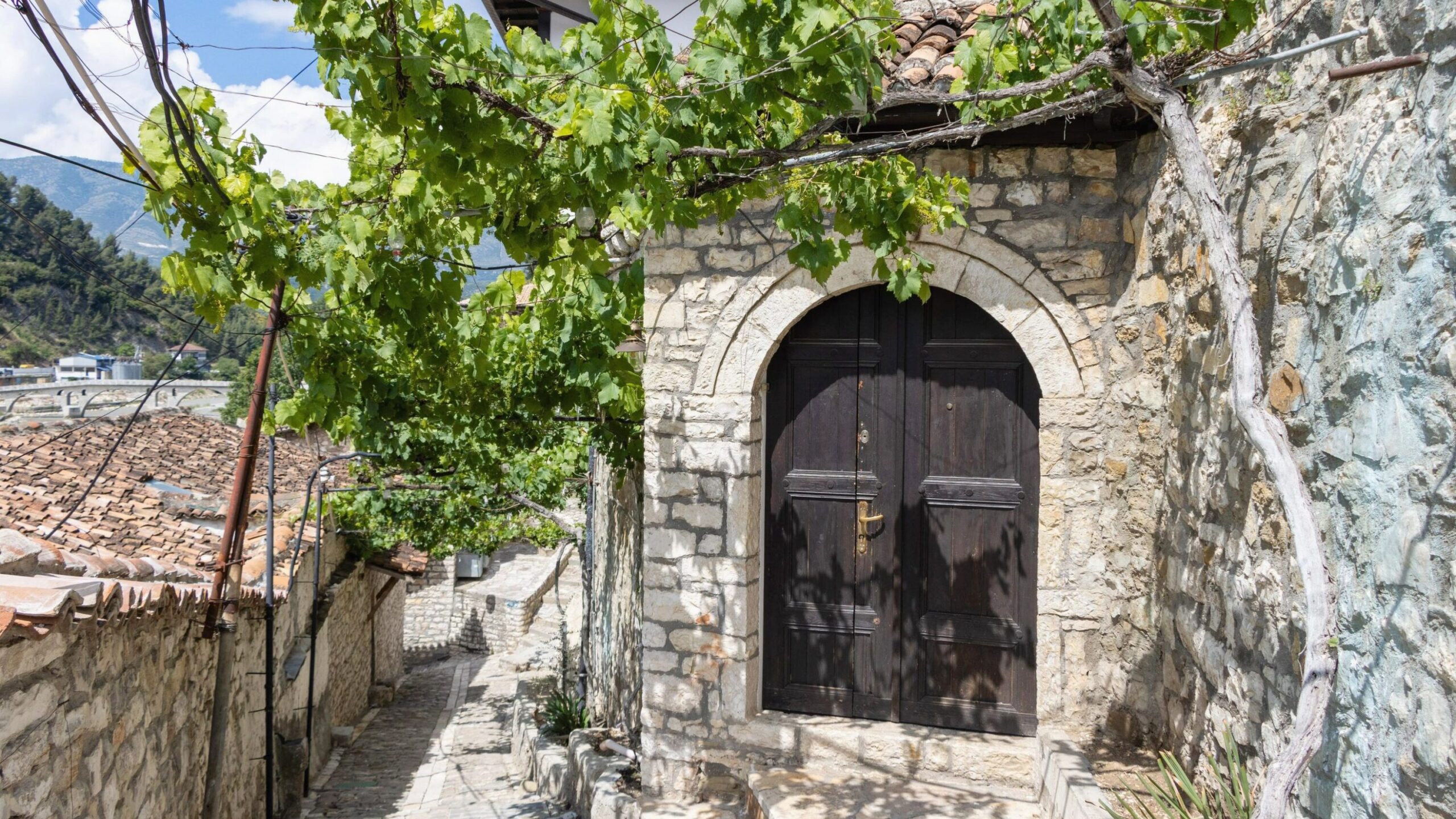 Old door set against stone wall.