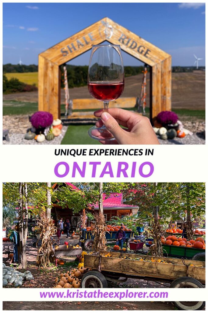 Red wine glass at winery and pumpkin farm experiences in Ontario.