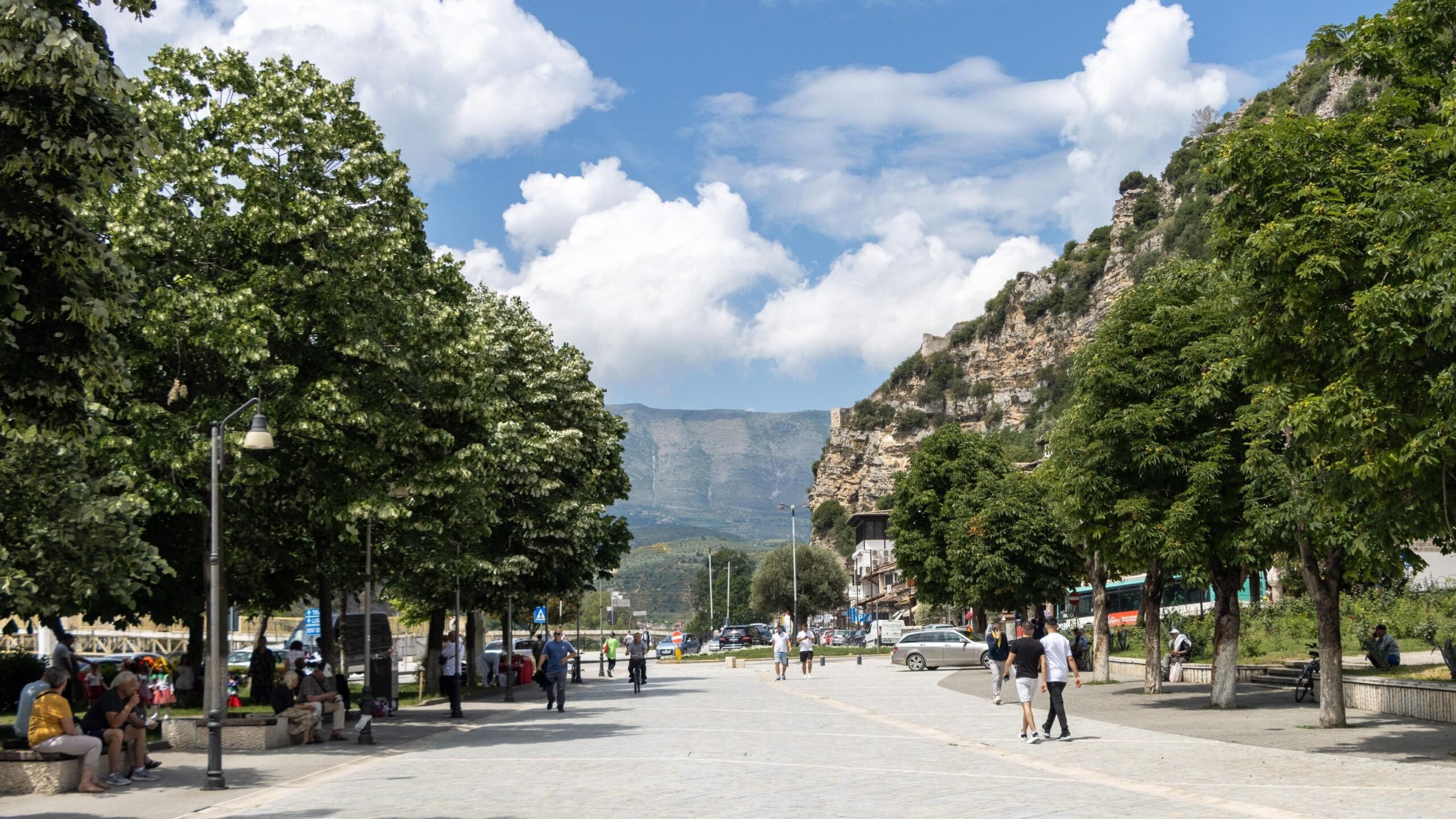 Large open boulevard lined with trees.