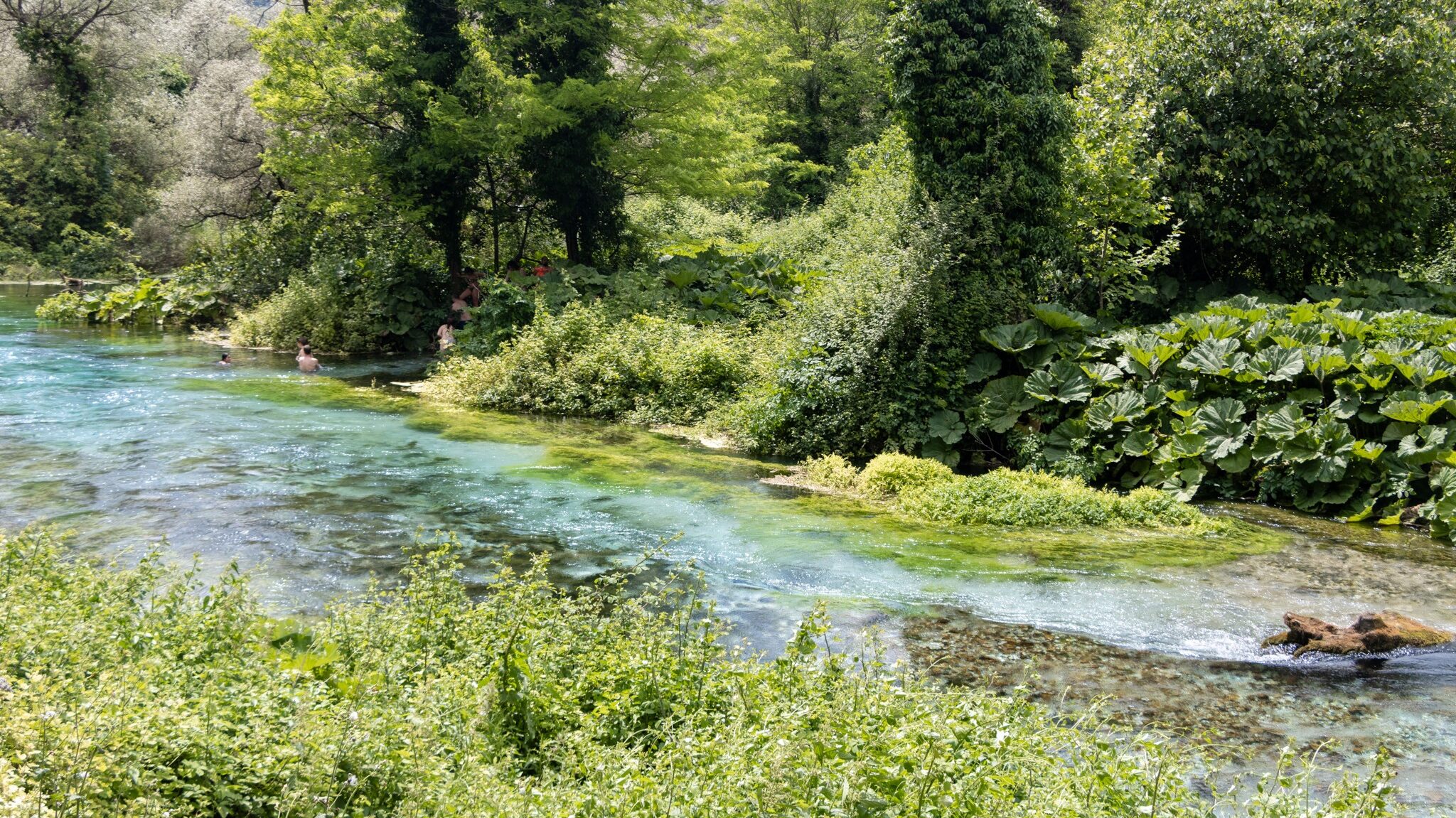 River running through forest in Albania. 