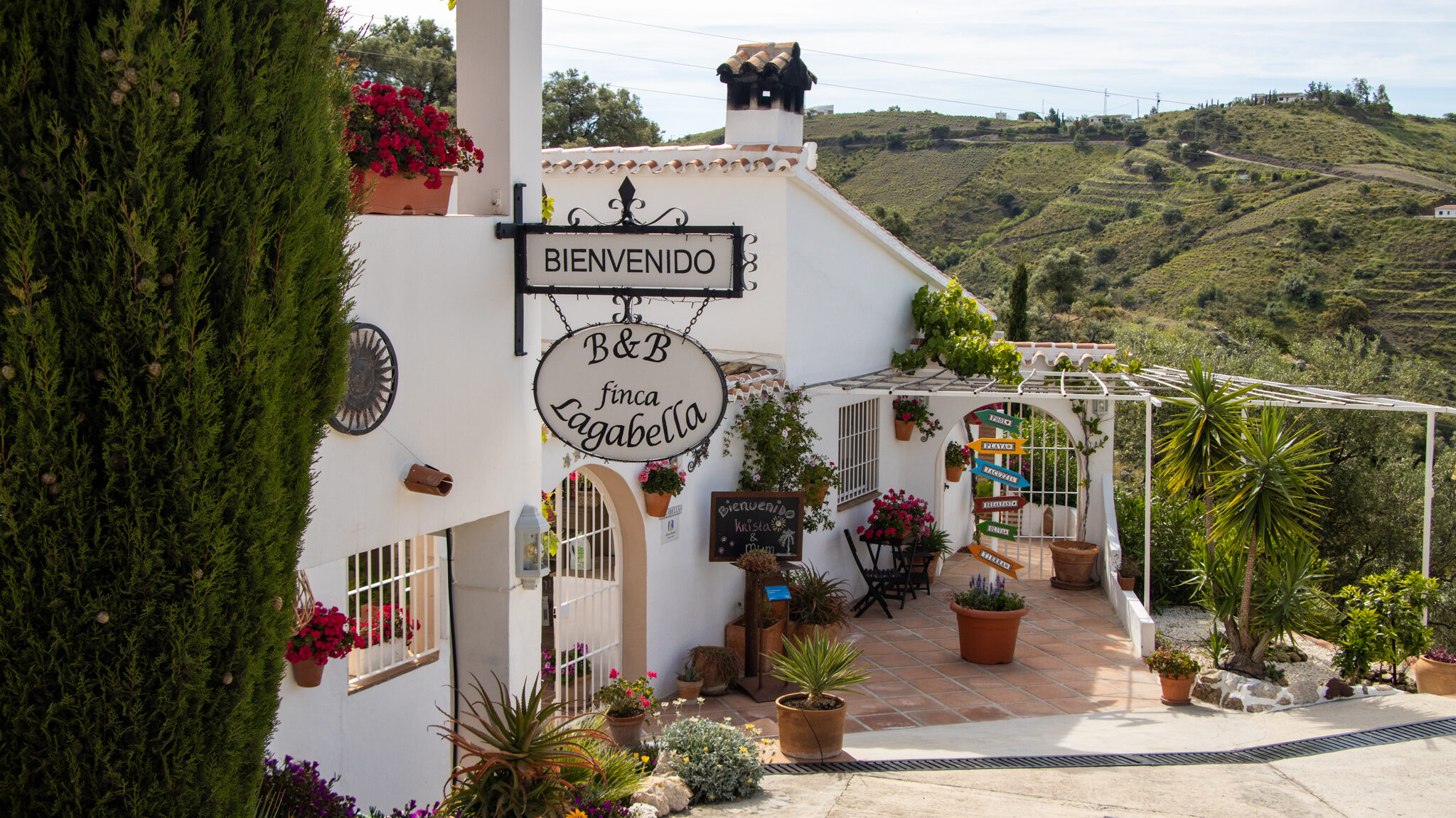 Entrance to B&B lined with flowers in mountains.