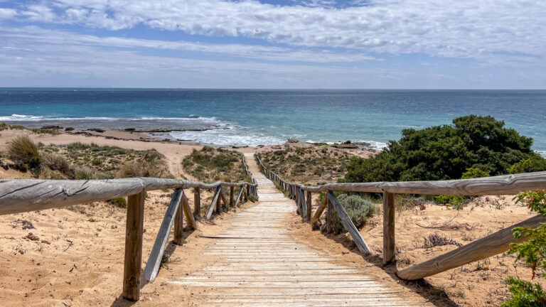 Boardwalk leading down to beach.