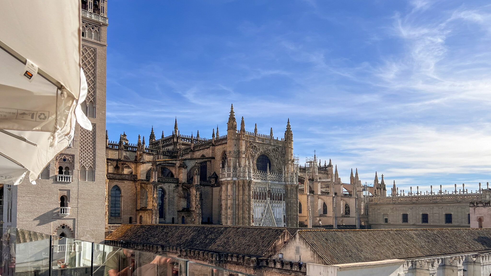 View of Sevilla cathedral from a rooftop bar.