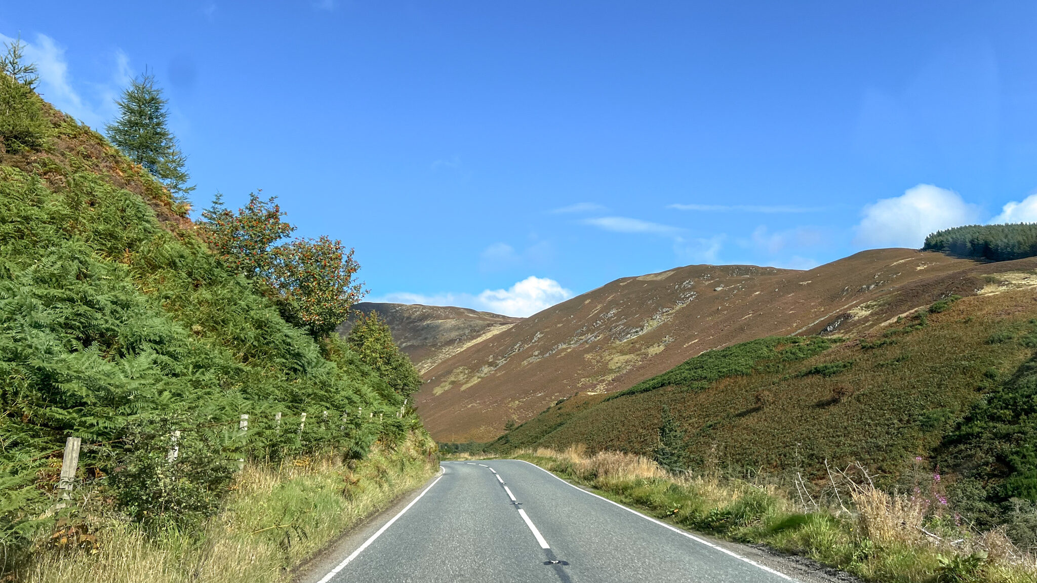 Road cutting through hills in Perthshire. 