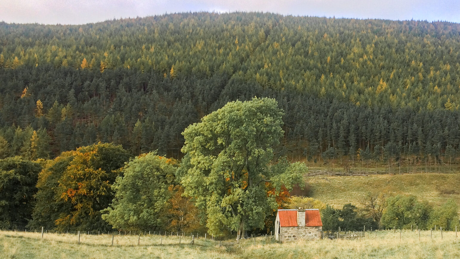 Countryside view from hiking trail in Scotlland.