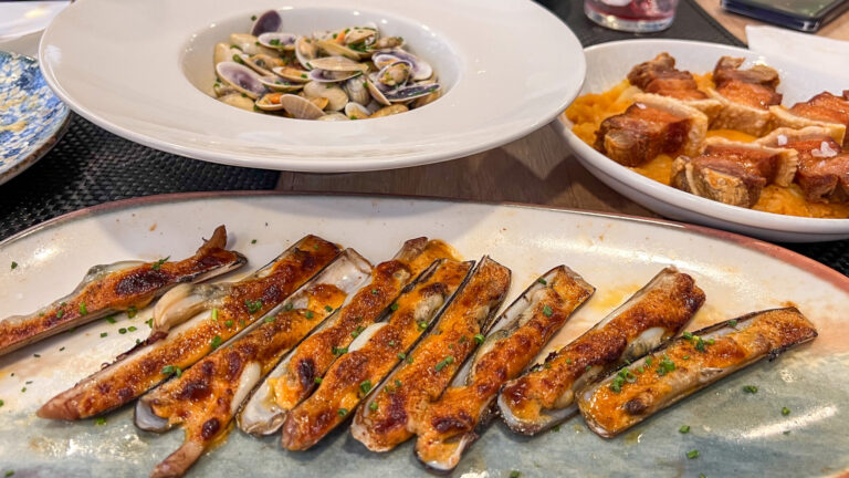 Selection of tapas dishes in gastrobar.