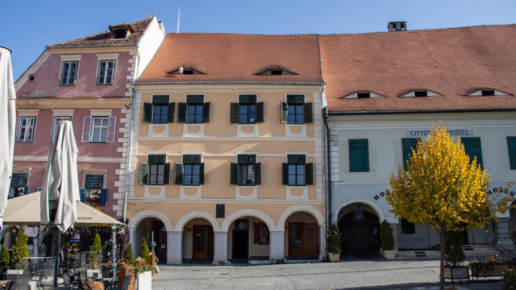 Medieval Saxon houses with eye-shaped windows on roof.