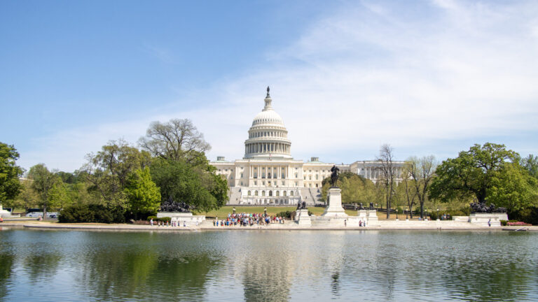 View of the Capitol Building across the water.
