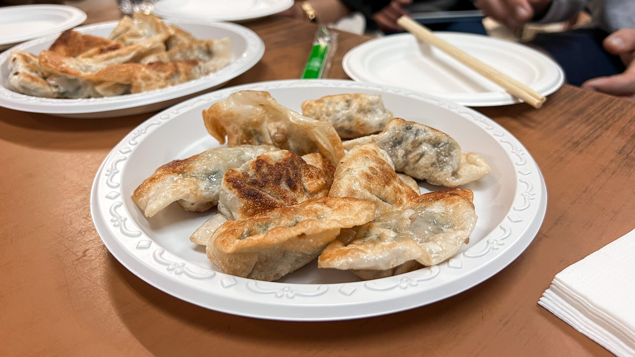 Chinatown Manhattan | Krista the Explorer Plastic plate with fried dumplings.