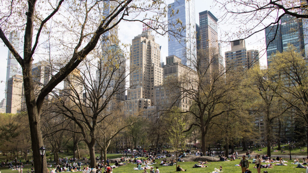 View of skyscrapers through the trees in Central Park.