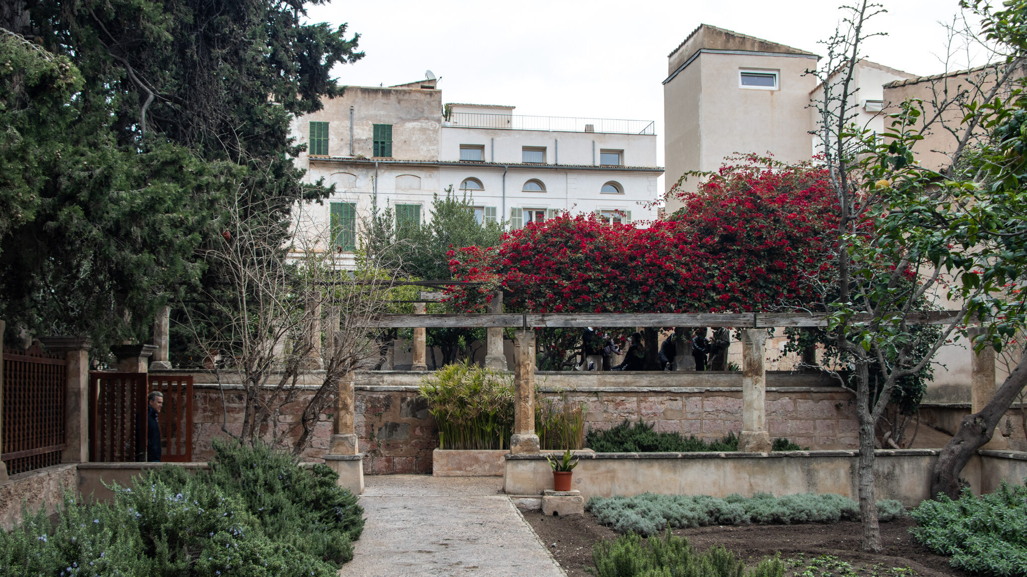 Jardin del Bisbe Palma | Krista the Explorer Small park behind cathedral in Palma.