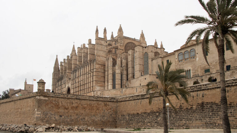 View of Palma Cathedral from park.