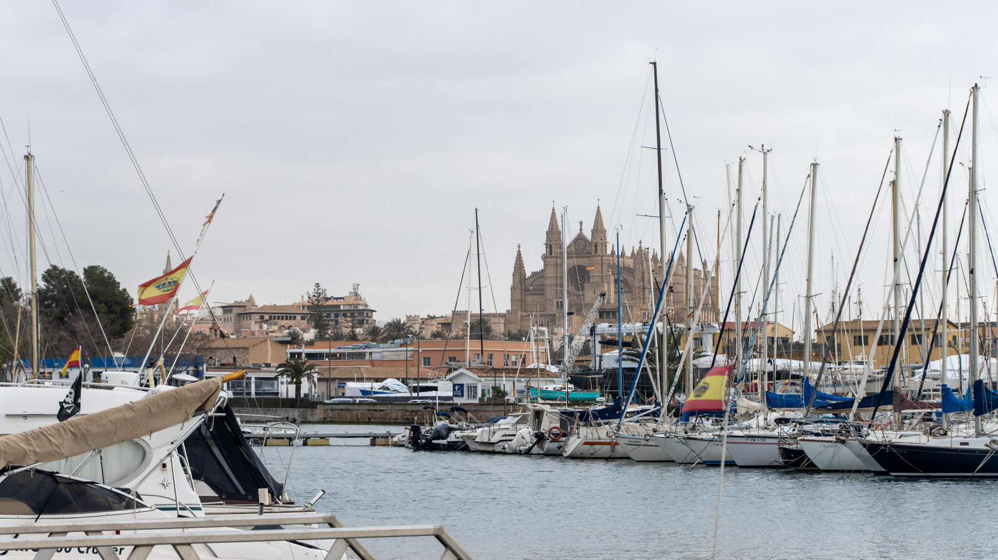 Harbourfront Palma | Krista the Explorer Harbour in Palma full of boats with cathedral in background.