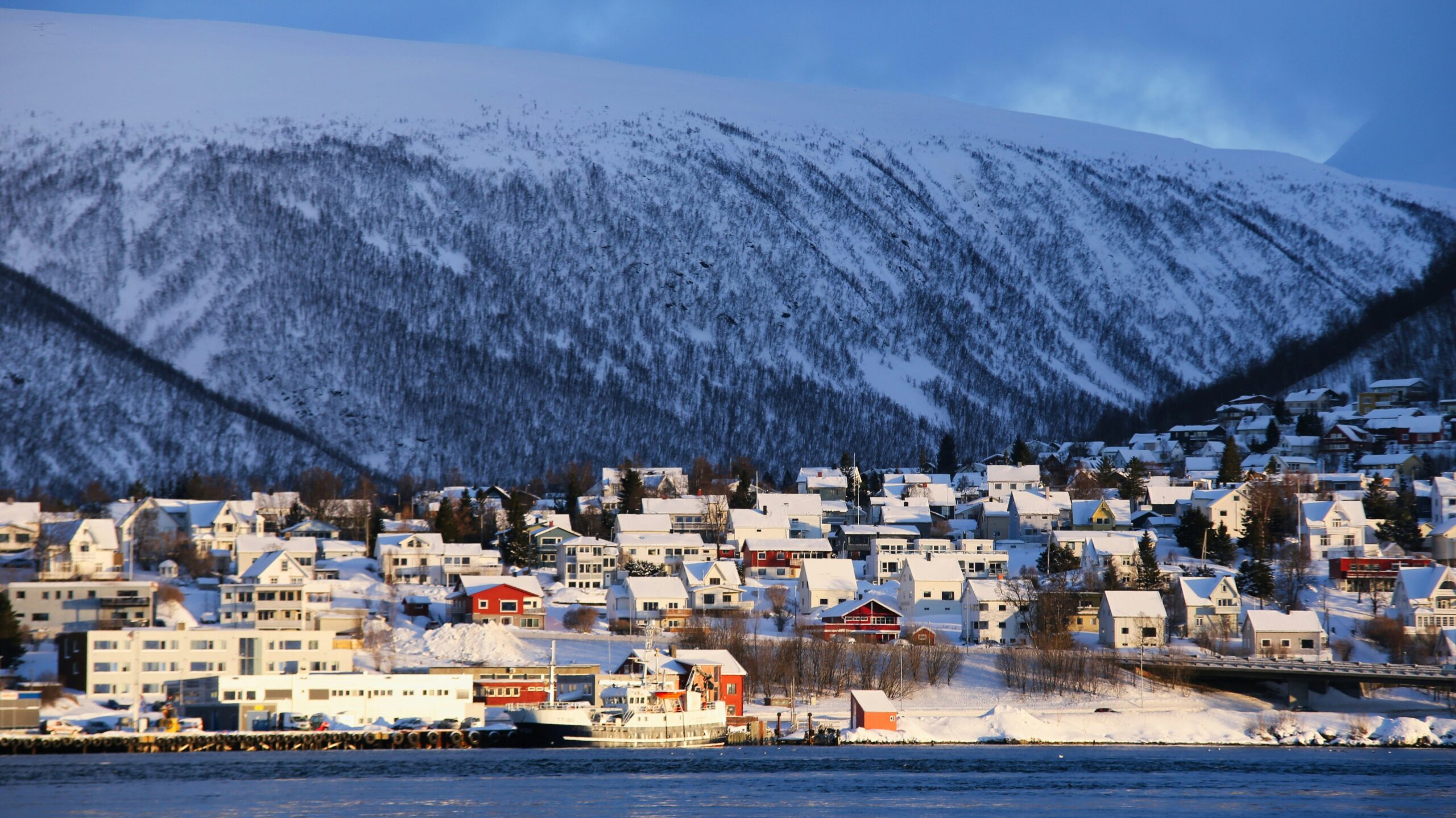 View of a town in Norway along water.