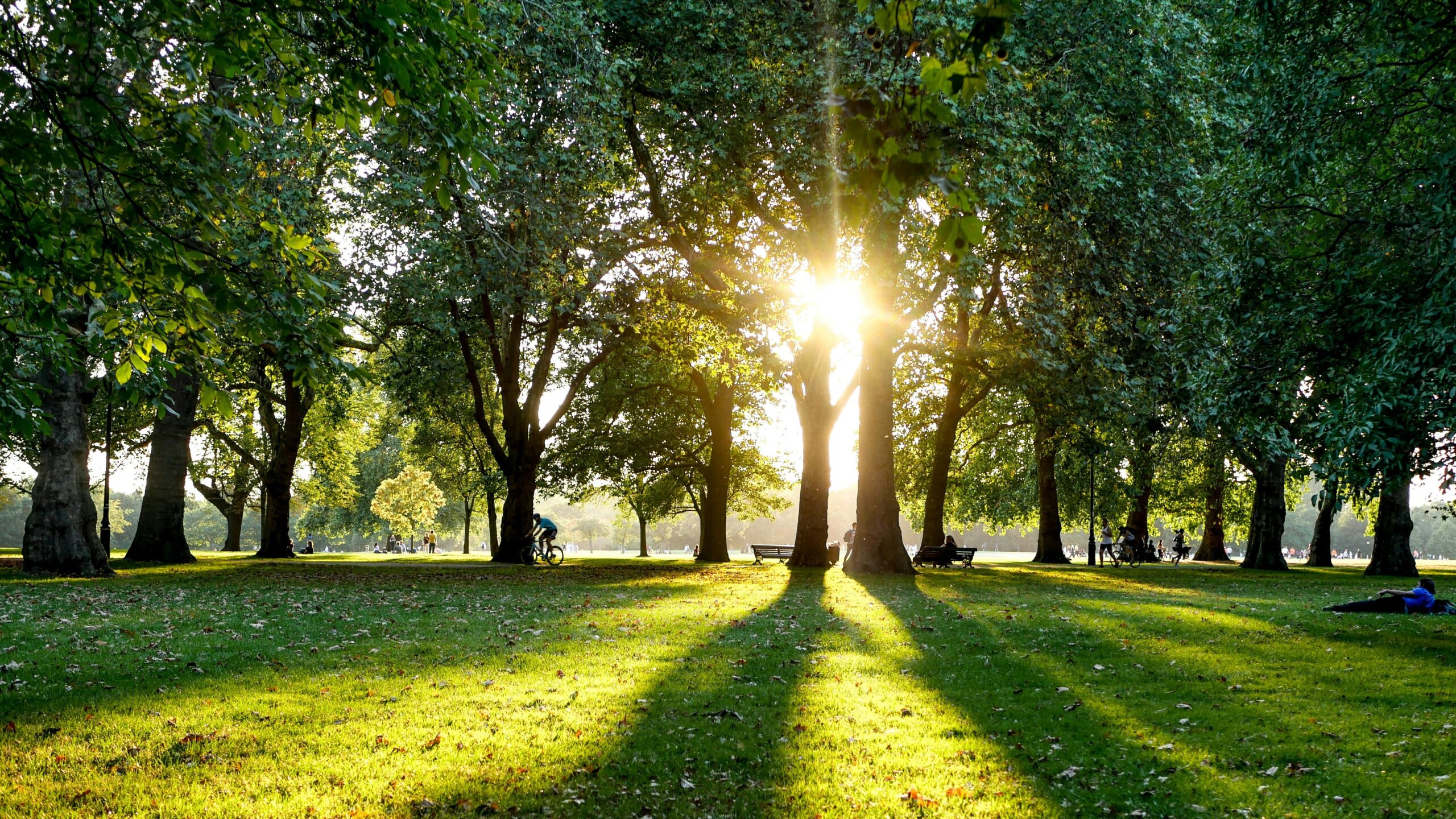 Hyde Park London | Krista the Explorer Hyde Park in London on a sunny day.