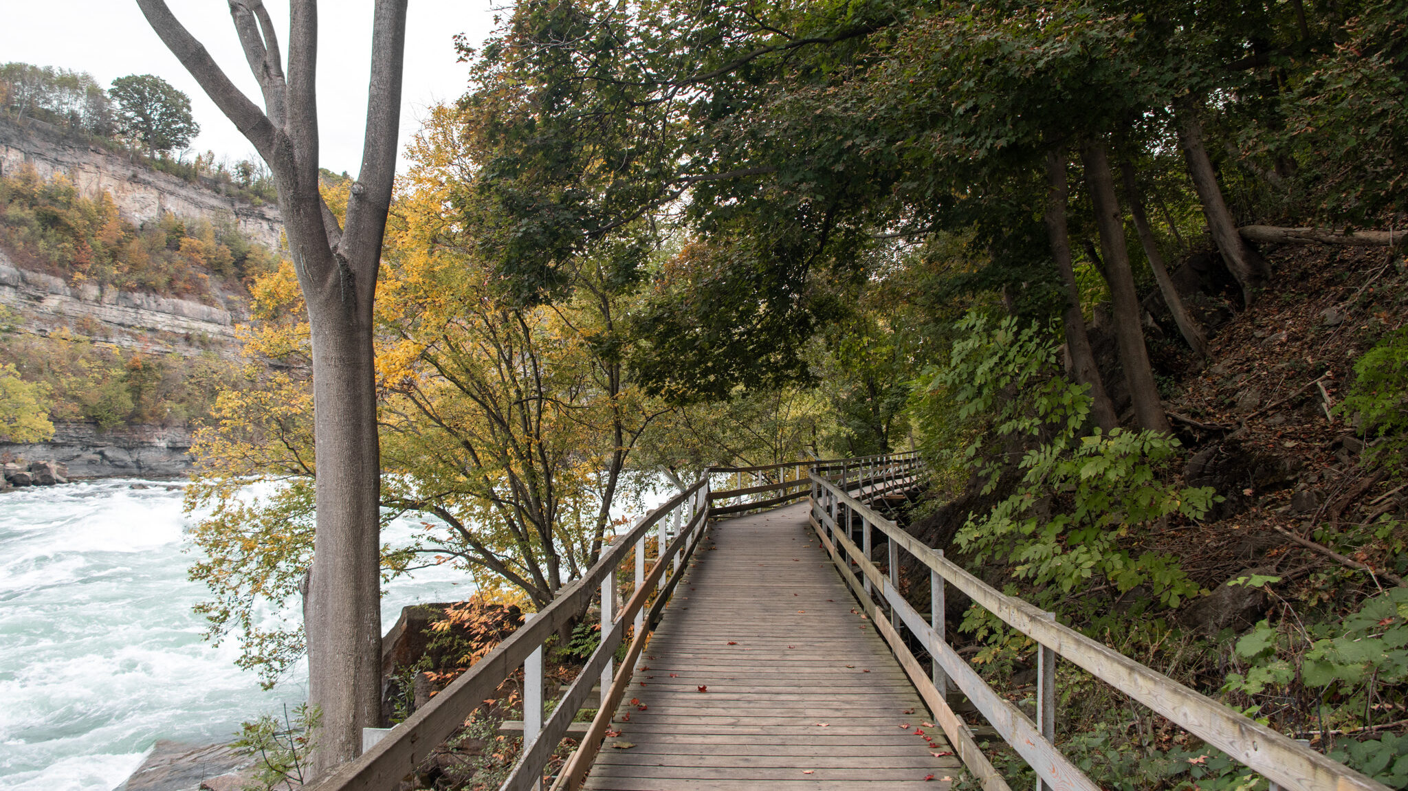 White Water Walk Niagara Falls | Krista the Explorer Boardwalk next to Niagara River in the autumn.