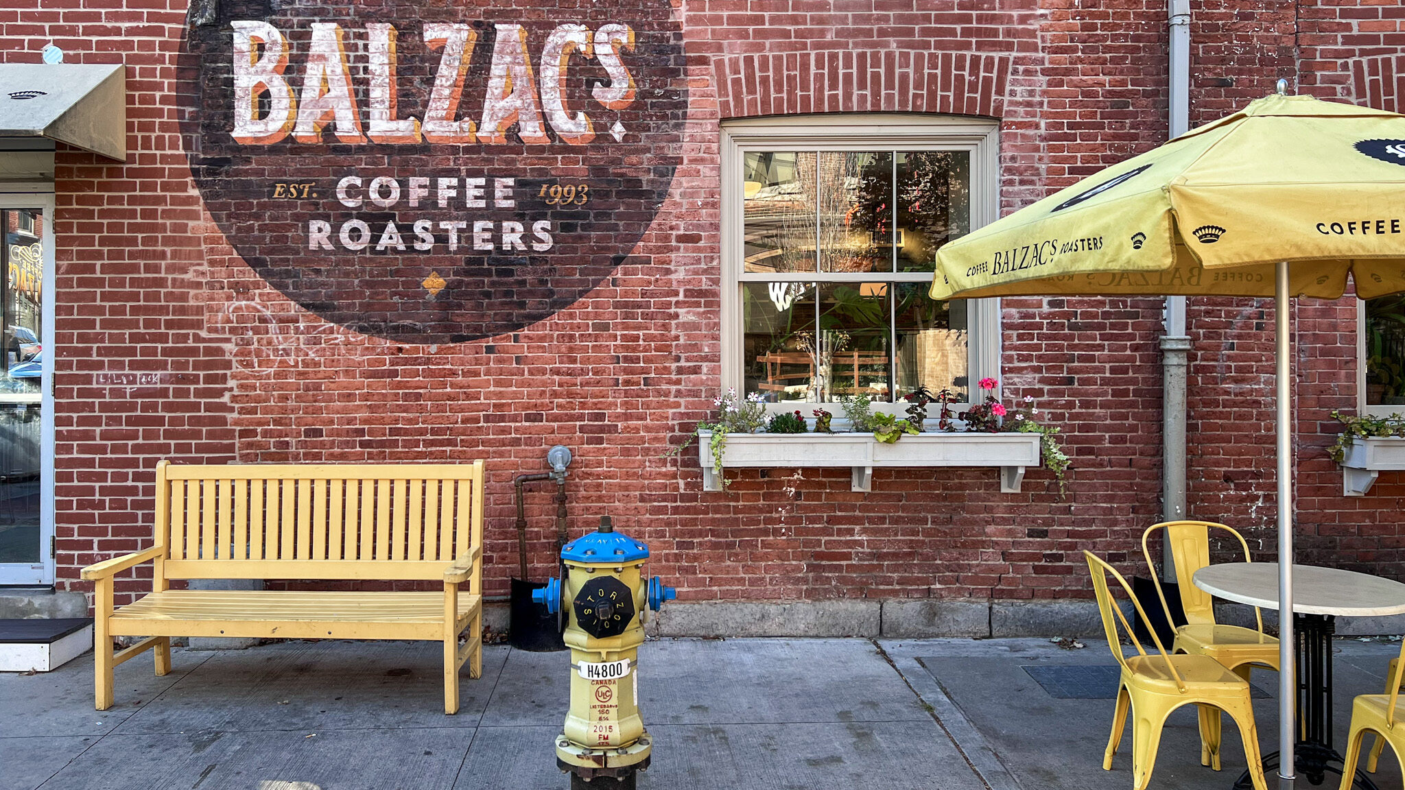 Downtown Kingston | Krista the Explorer Historic brick building with logo of coffee shop on it.