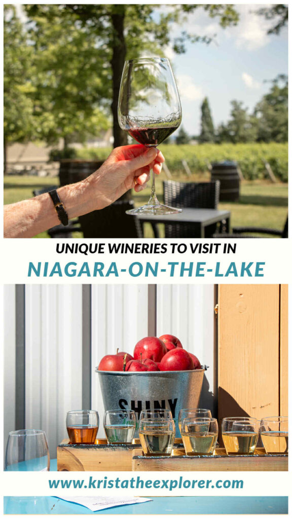 Niagara Winery | Krista the Explorer Red glass of wine at vineyard and cider flights.